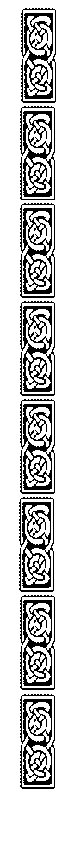 borði3